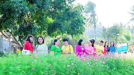 <a href="/tin-tuc/nong-thon-moi-do-thi-van-minh" title="Nông thôn mới - Đô thị văn minh" rel="dofollow">Tin từ các huyện, thị xã, thành phố</a>