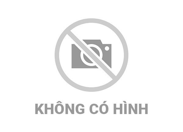 <a href="/tin-tuc/kinh-te" title="Kinh tế" rel="dofollow">Tin từ các huyện, thị xã, thành phố</a>